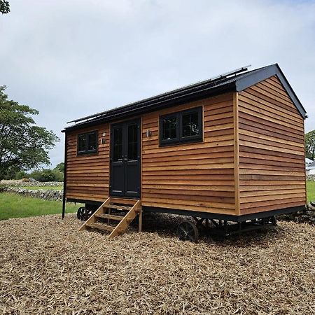 Woodland Shephards Hut - 'Aristocrat' Villa Caernarfon Exterior foto