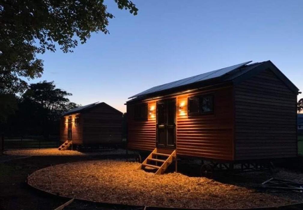 Woodland Shephards Hut - 'Aristocrat' Villa Caernarfon Exterior foto